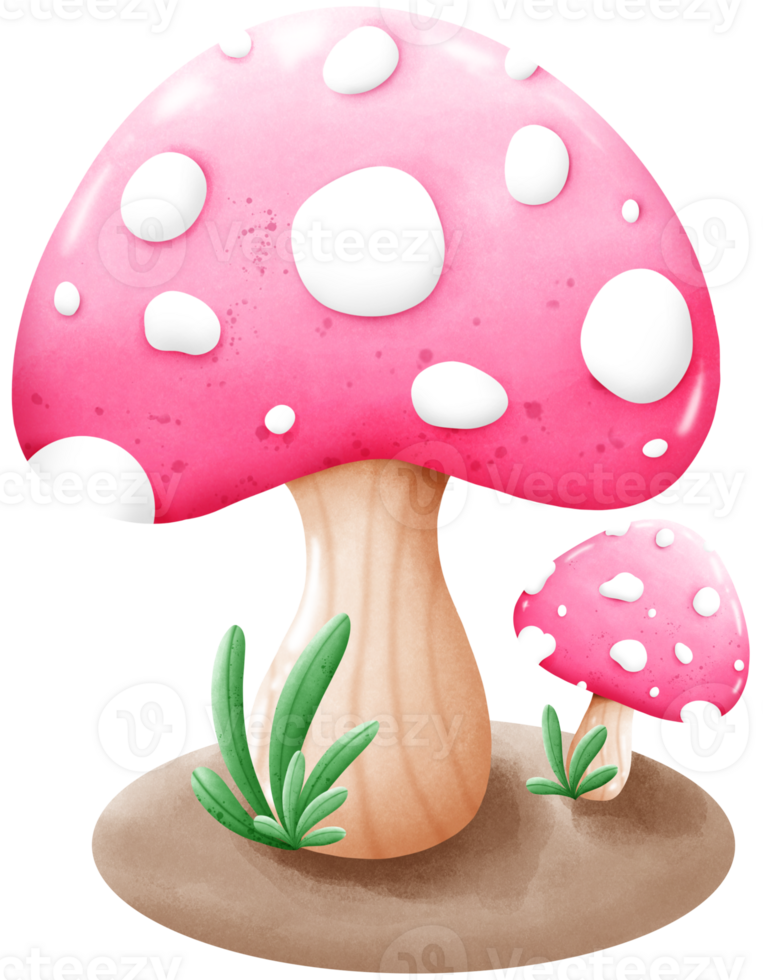 different mushrooms isolated on white background png