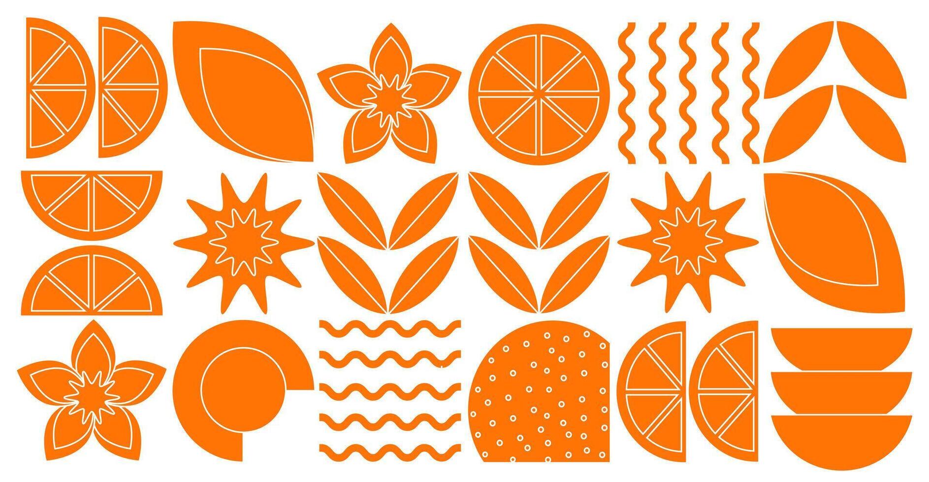 Abstract geometric fruit pattern. Shapes of natural organic flower plants, eco-agriculture citrus. minimal illustration vector