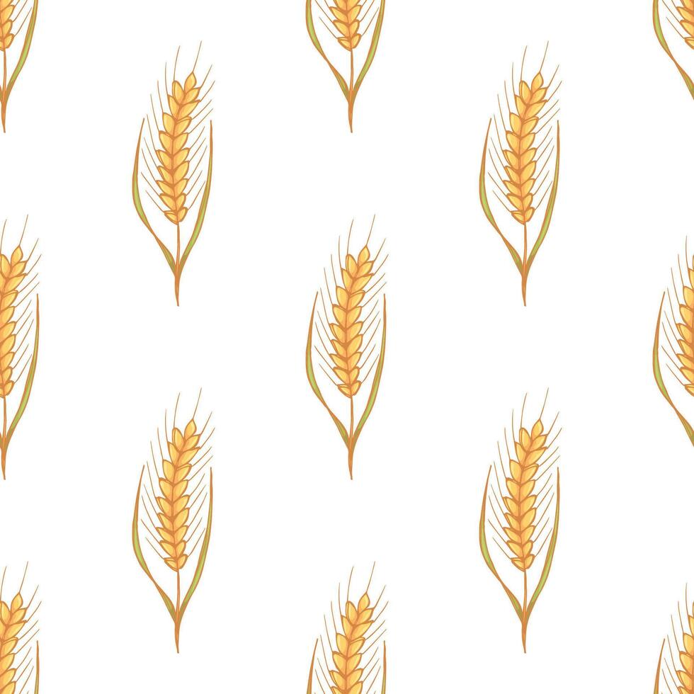 Seamless pattern with wheat doodle for decorative print, wrapping paper, greeting cards, wallpaper and fabric vector