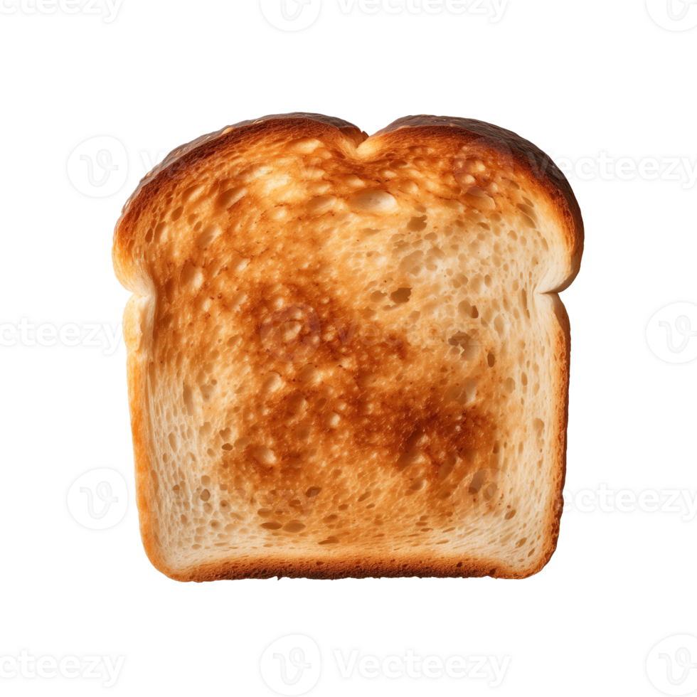 a slice of toast bread isolated on a transparent background, top view png