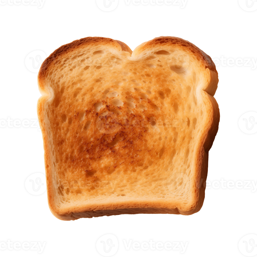 a slice of toast bread isolated on a transparent background, top view png