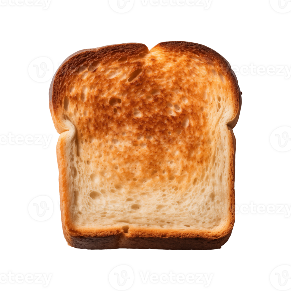 a slice of toast bread isolated on a transparent background, top view png