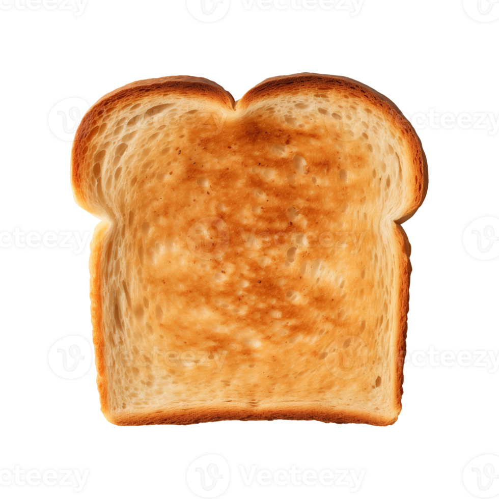 a slice of toast bread isolated on a transparent background, top view png