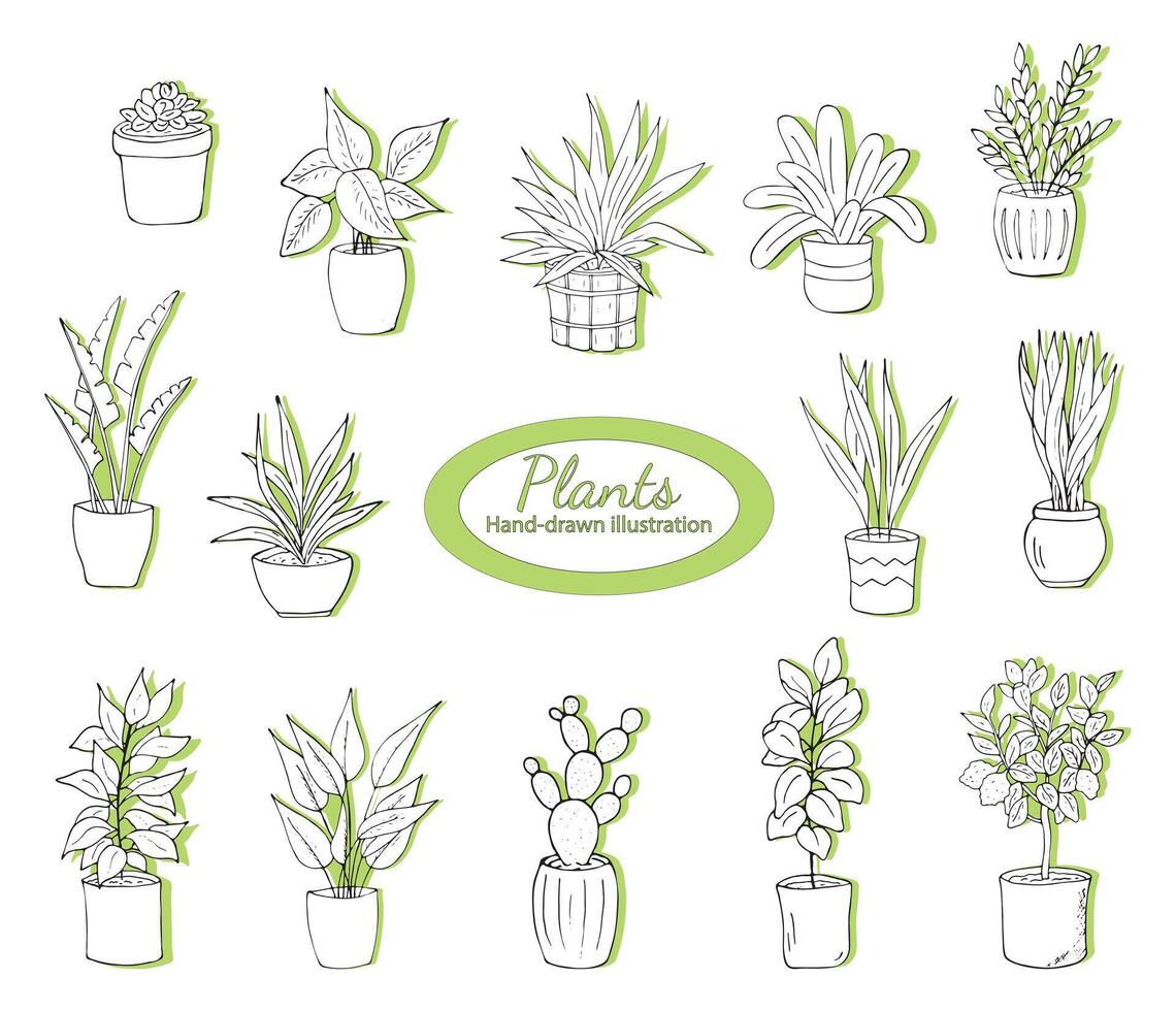House plants in pots on a white background. Simple doodle home plants. Botany illustrations of gardening. Natural trendy home decor. Set of outline drawings of houseplants, and succulents in pot. vector