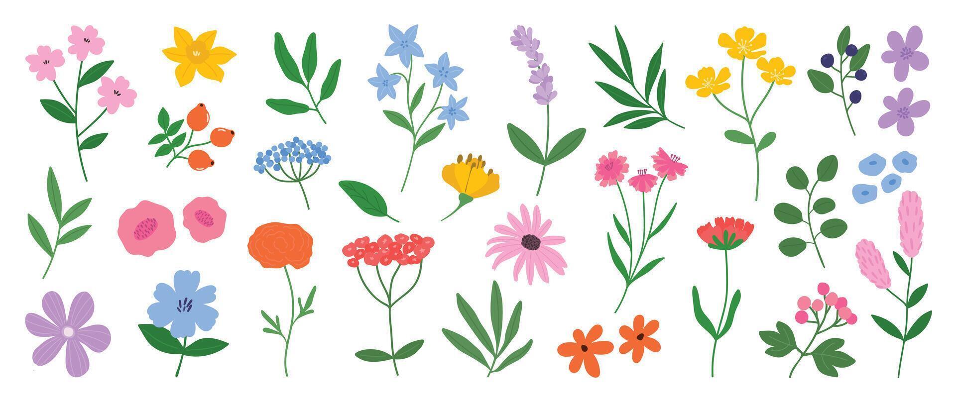 Collection of spring colorful flower elements . Set floral of wildflower, leaf branch, foliage on white background. Hand drawn blossom illustration for decor, easter, sticker, clipart, print. vector