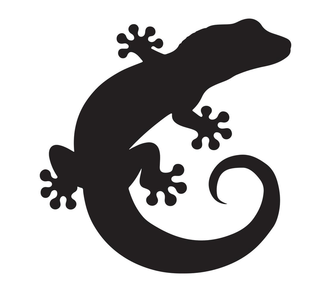 African Fat-tailed Gecko Black Silhouette on white background vector