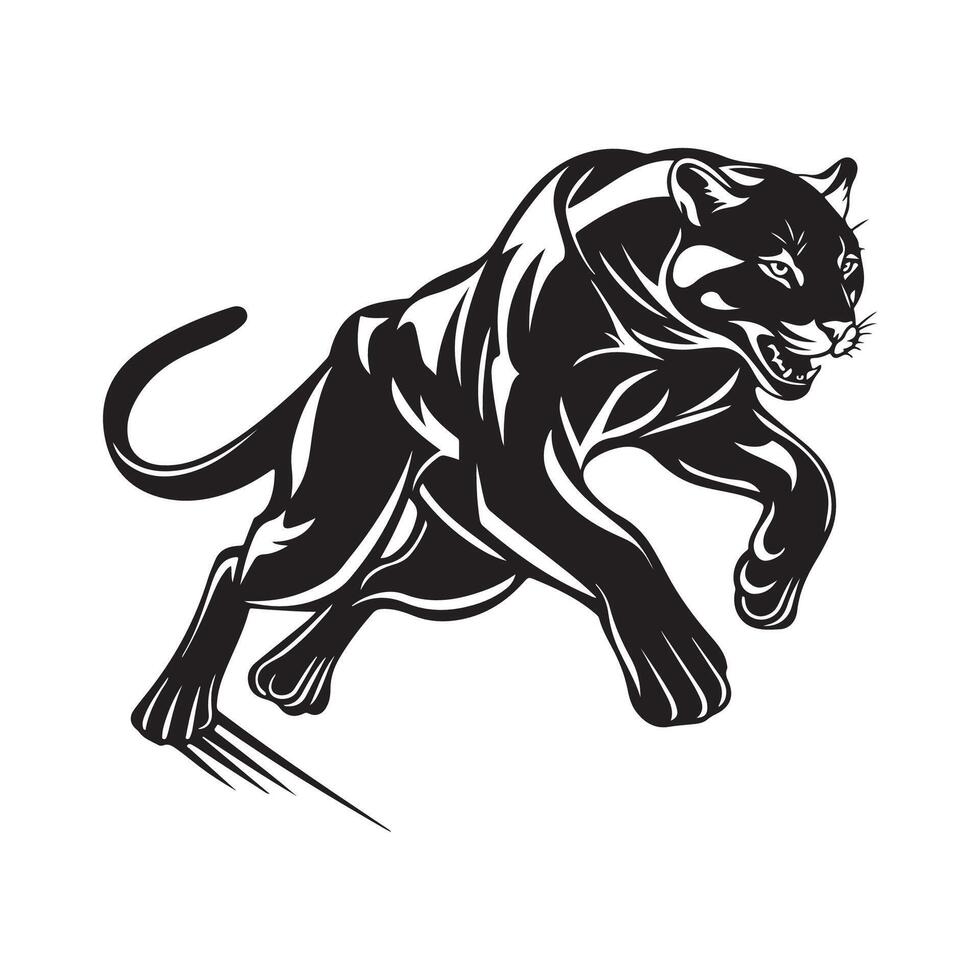 Puma image , illustration of a puma on a white background vector