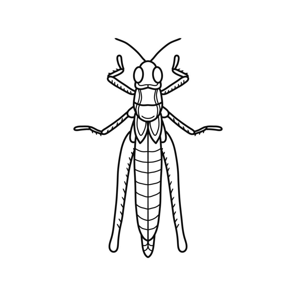 grasshopper black and white illustration. mantis or cricket, insect concept, thin line symbol on white background vector