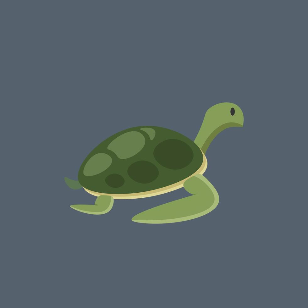 a turtle in flat design. vector