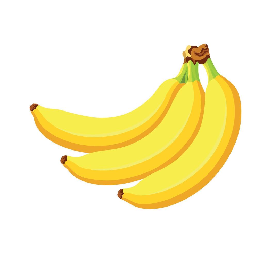 Bunch of yellow bananas isolated on white background. Illustration of bananas in a cartoonstyle vector