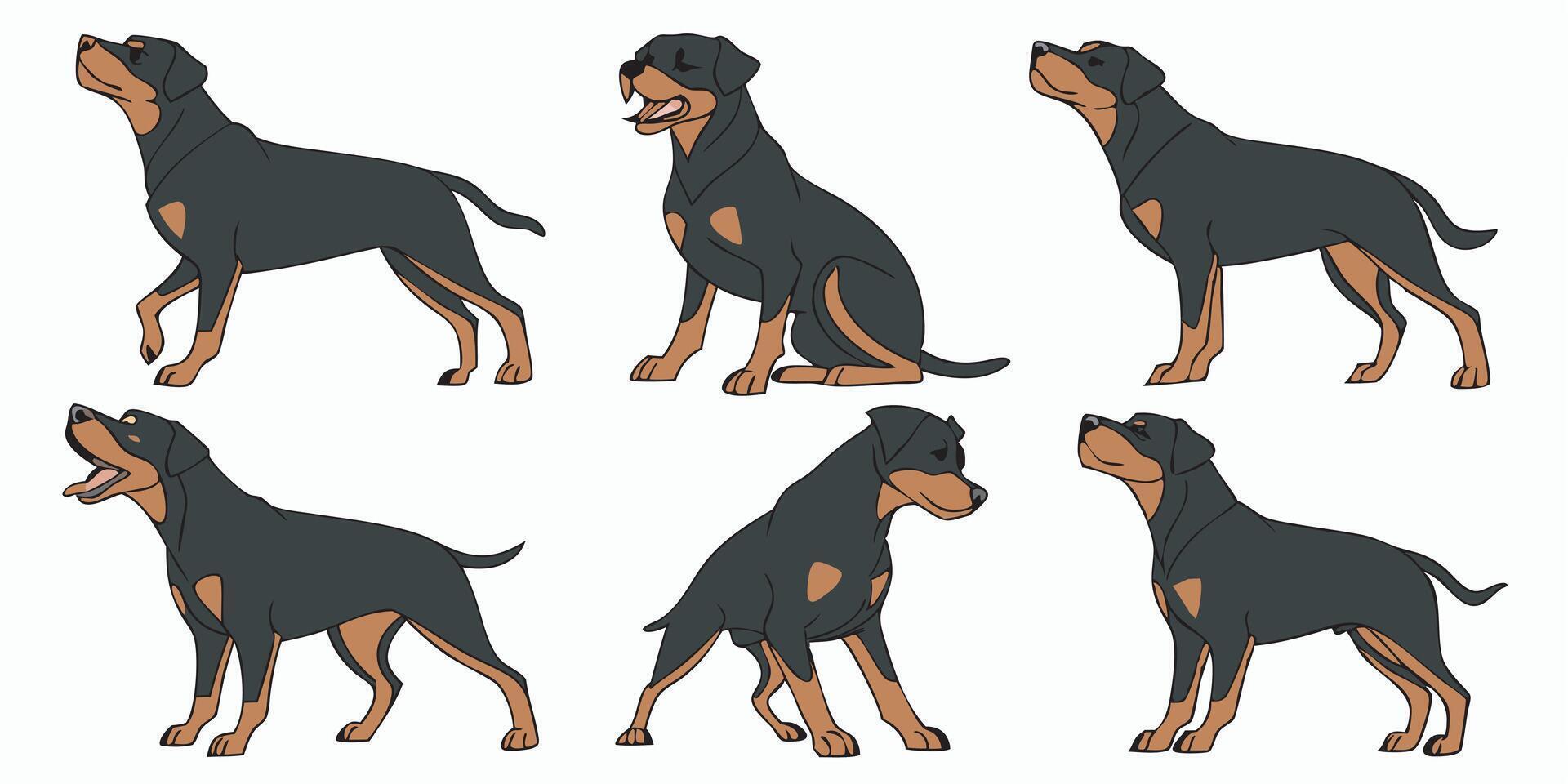 a set of four different rotweilers vector