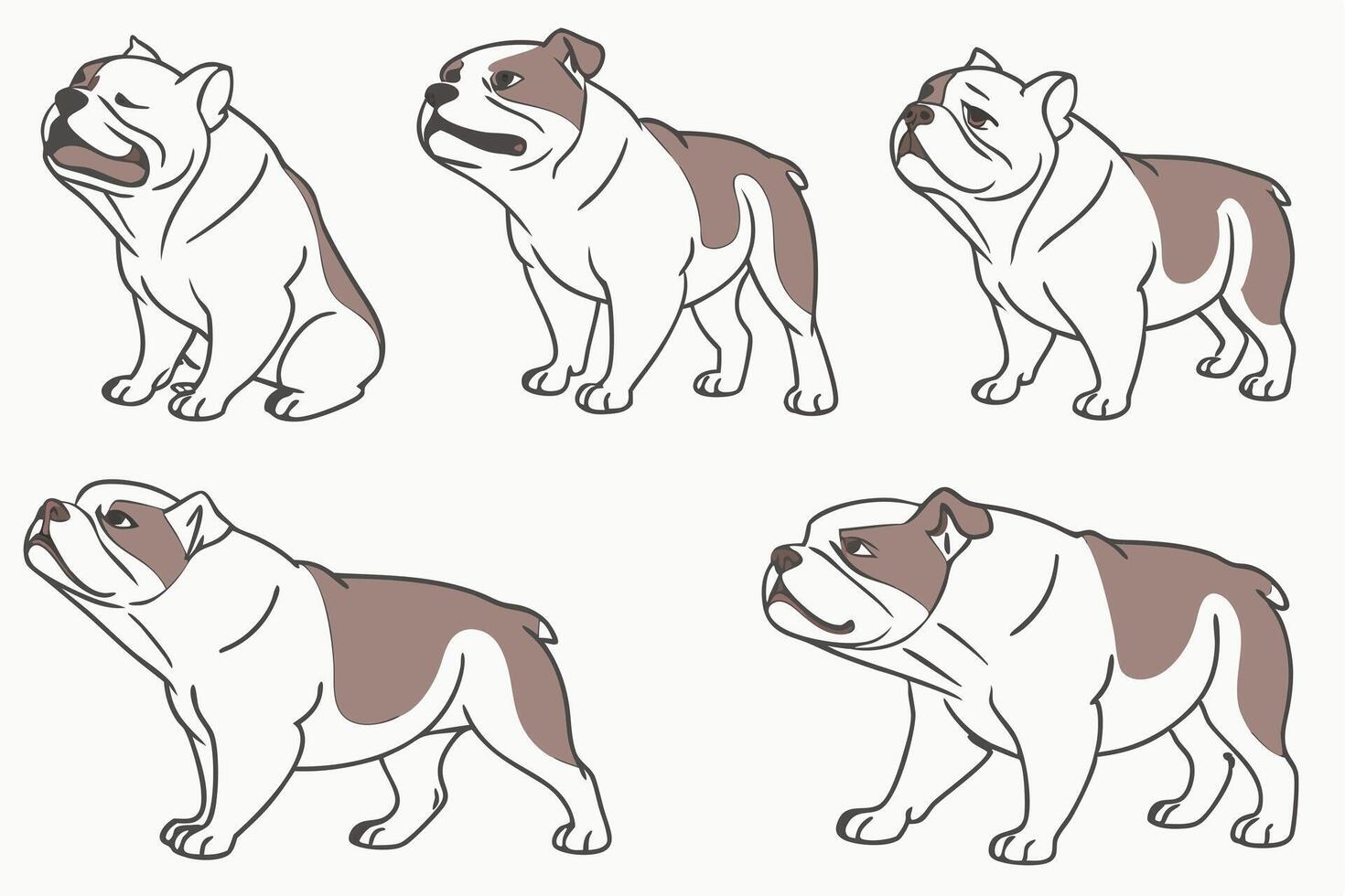 a set of four different types of bulldog dog vector