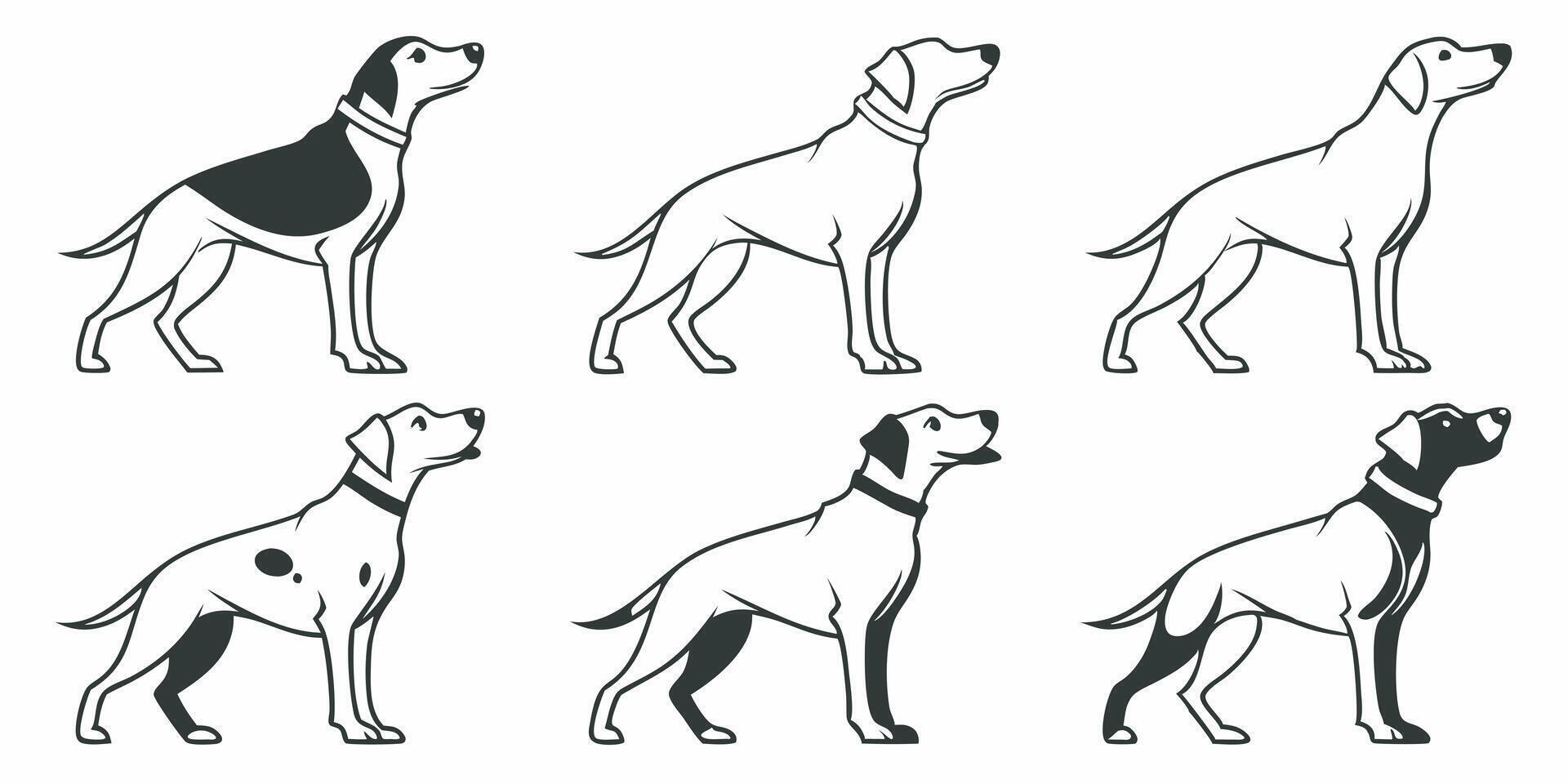 dog breeds in different poses and sizes vector