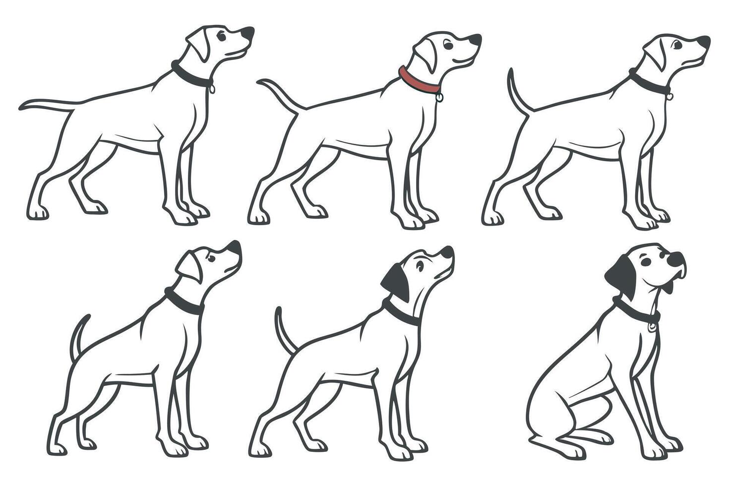 a set of different dog breeds with different poses vector