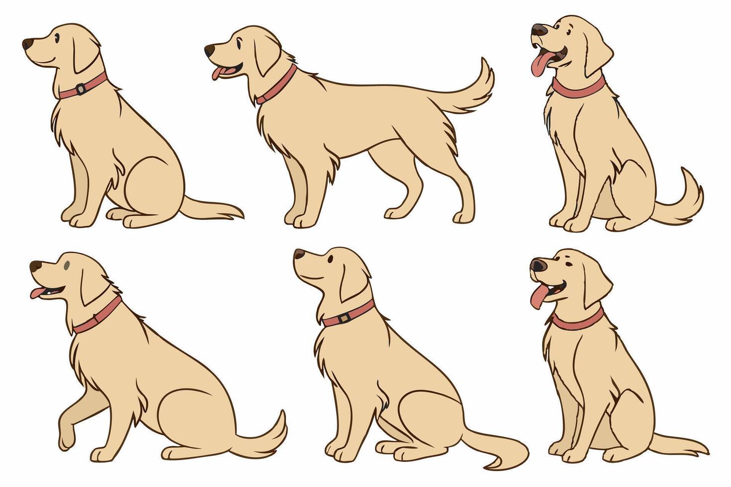 a set of six different dog poses vector