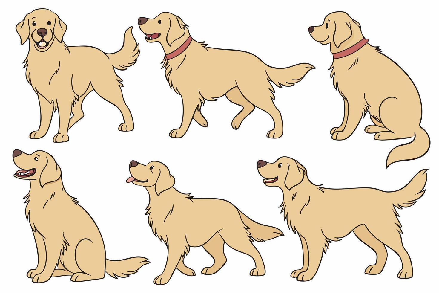 a set of six golden retriever dogs in different poses vector