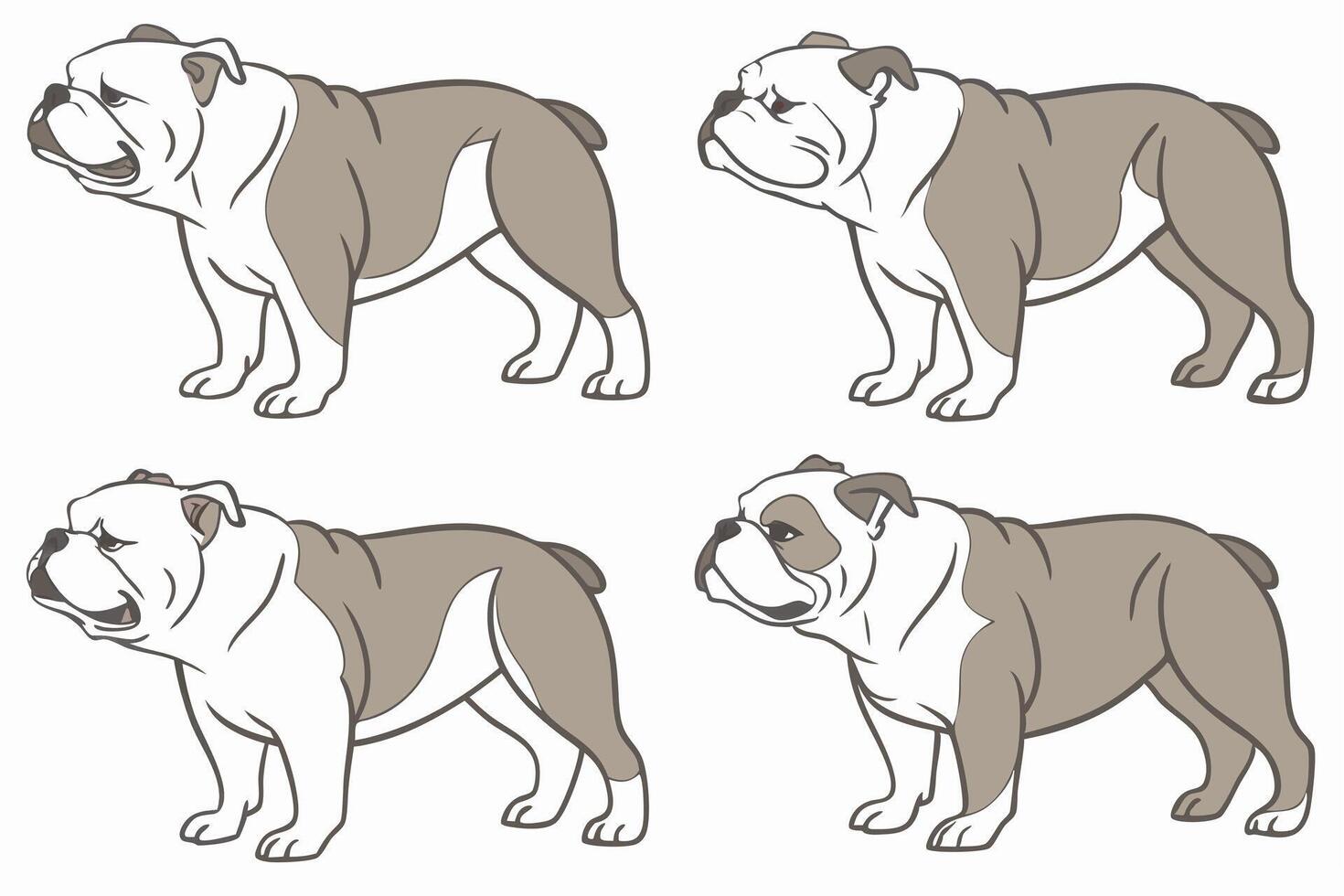 four different types of bulldog dogs are shown vector