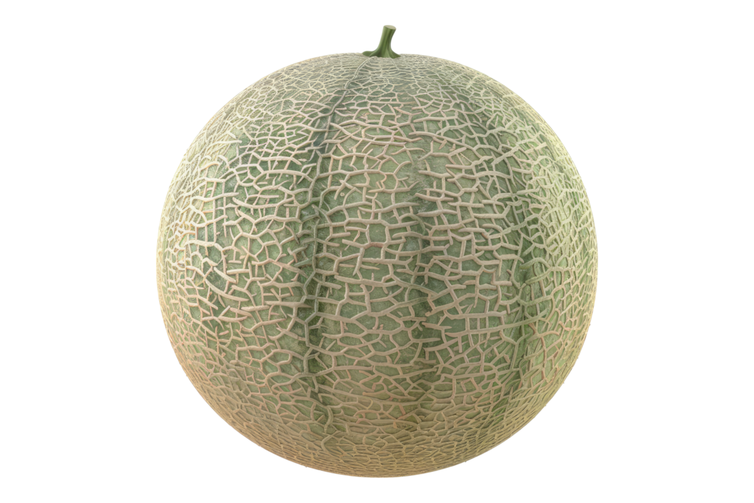 Fresh melon on transparent background. png