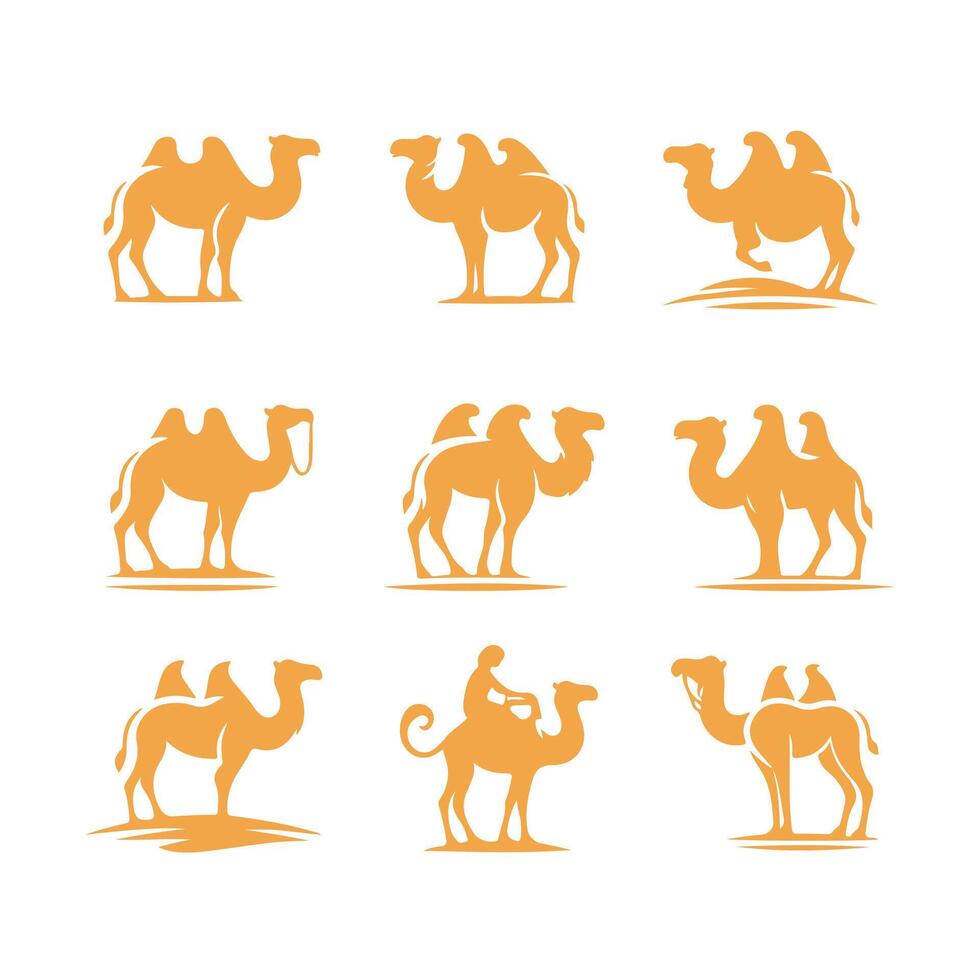 Bactrian Camel Collection Logo Design vector