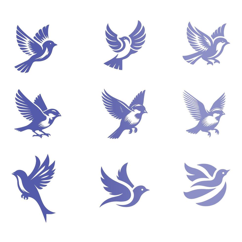 House Sparrow Collection Design vector