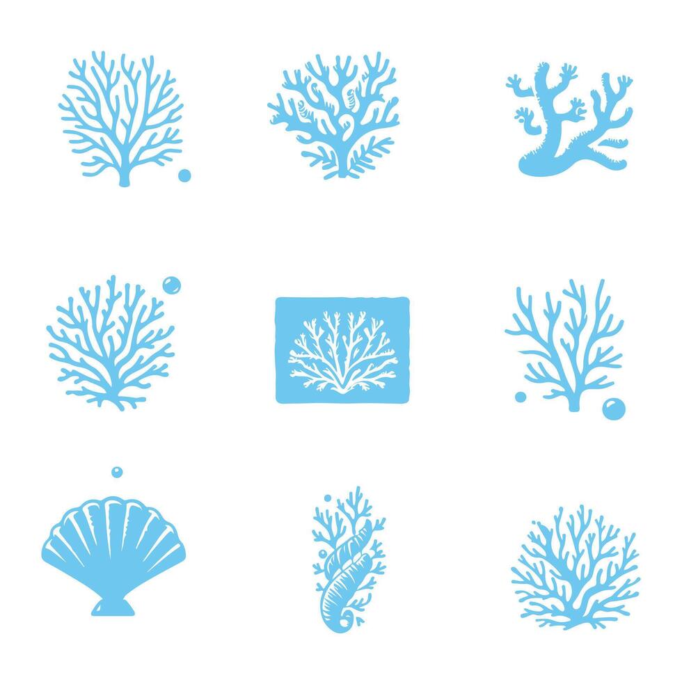 Fungia Coral Collection Design vector