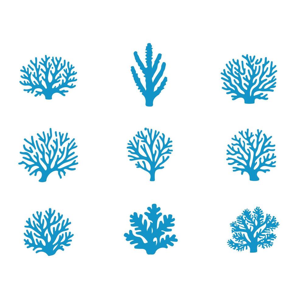 Brain Coral Collection Design vector