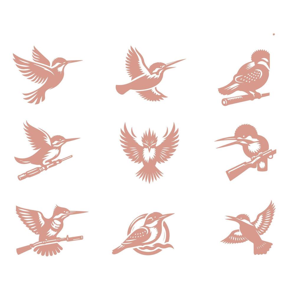 Common Kingfsher Collection Design vector