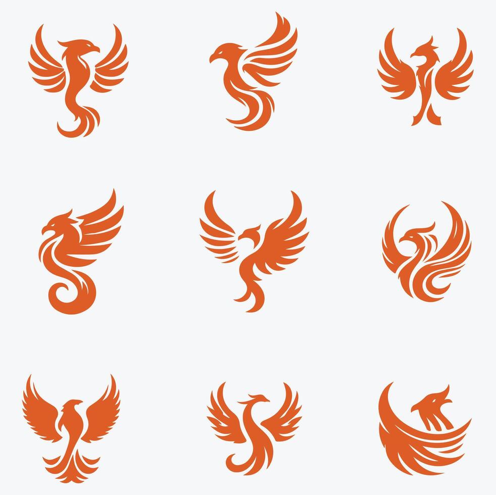 Fiery Bloom collection logo vector