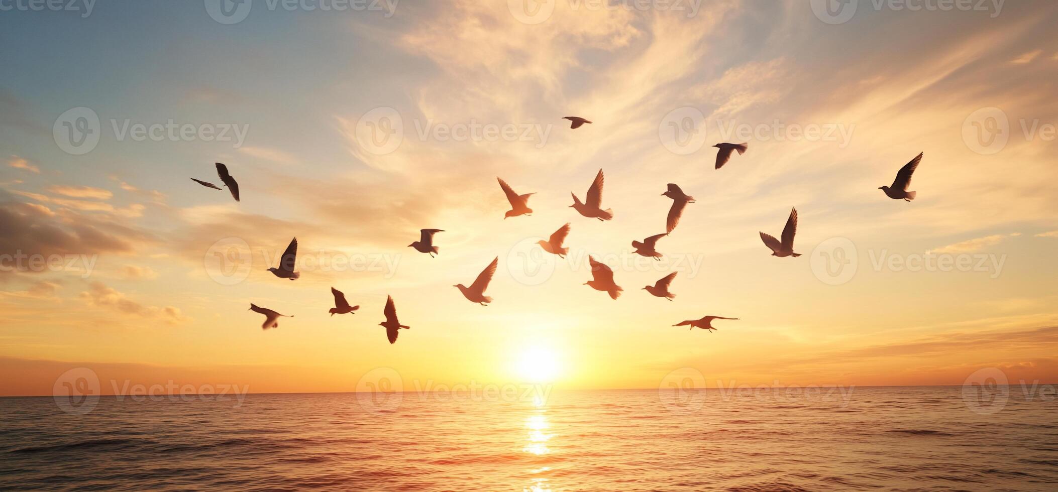 Birds flying over the ocean at sunset photo
