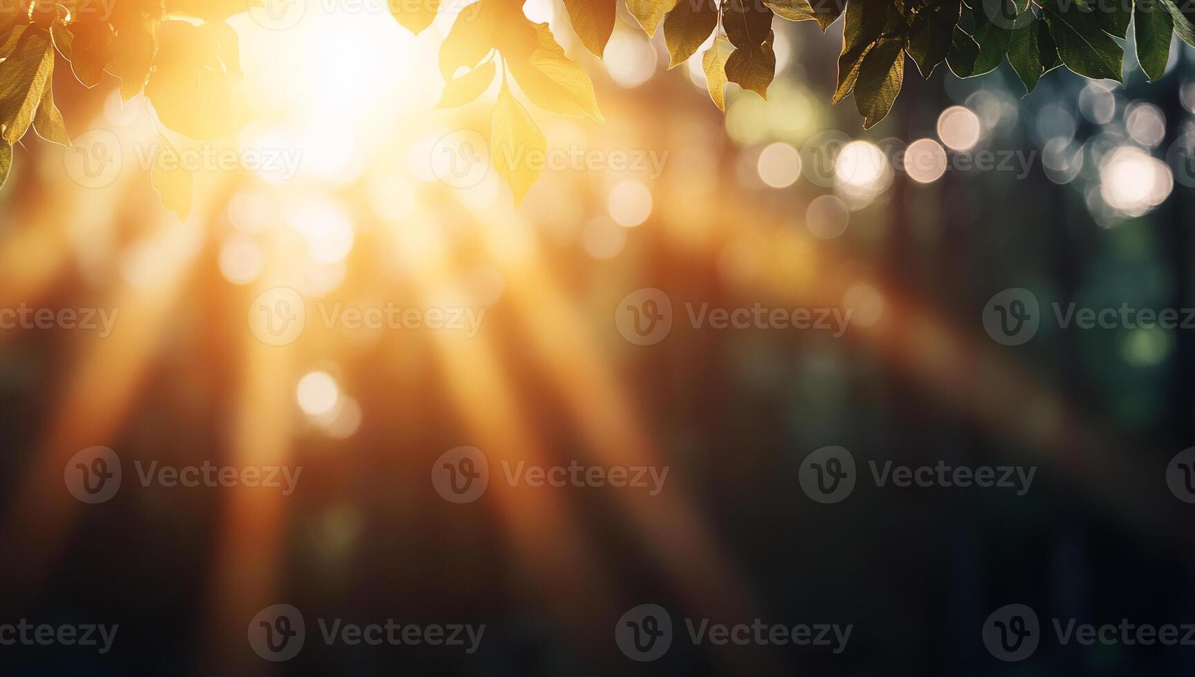 Sunlight filtering through leaves in a tranquil forest setting. photo