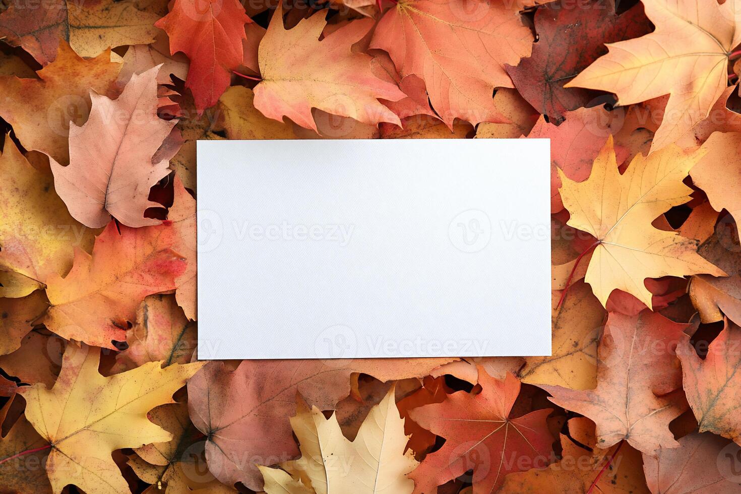A blank card surrounded by colorful autumn leaves. photo