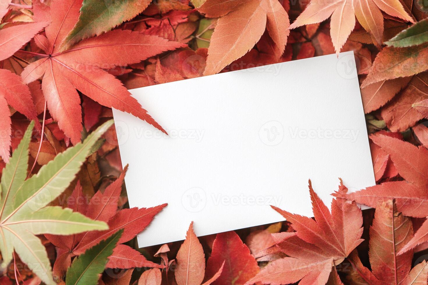 A blank card surrounded by vibrant autumn leaves. photo
