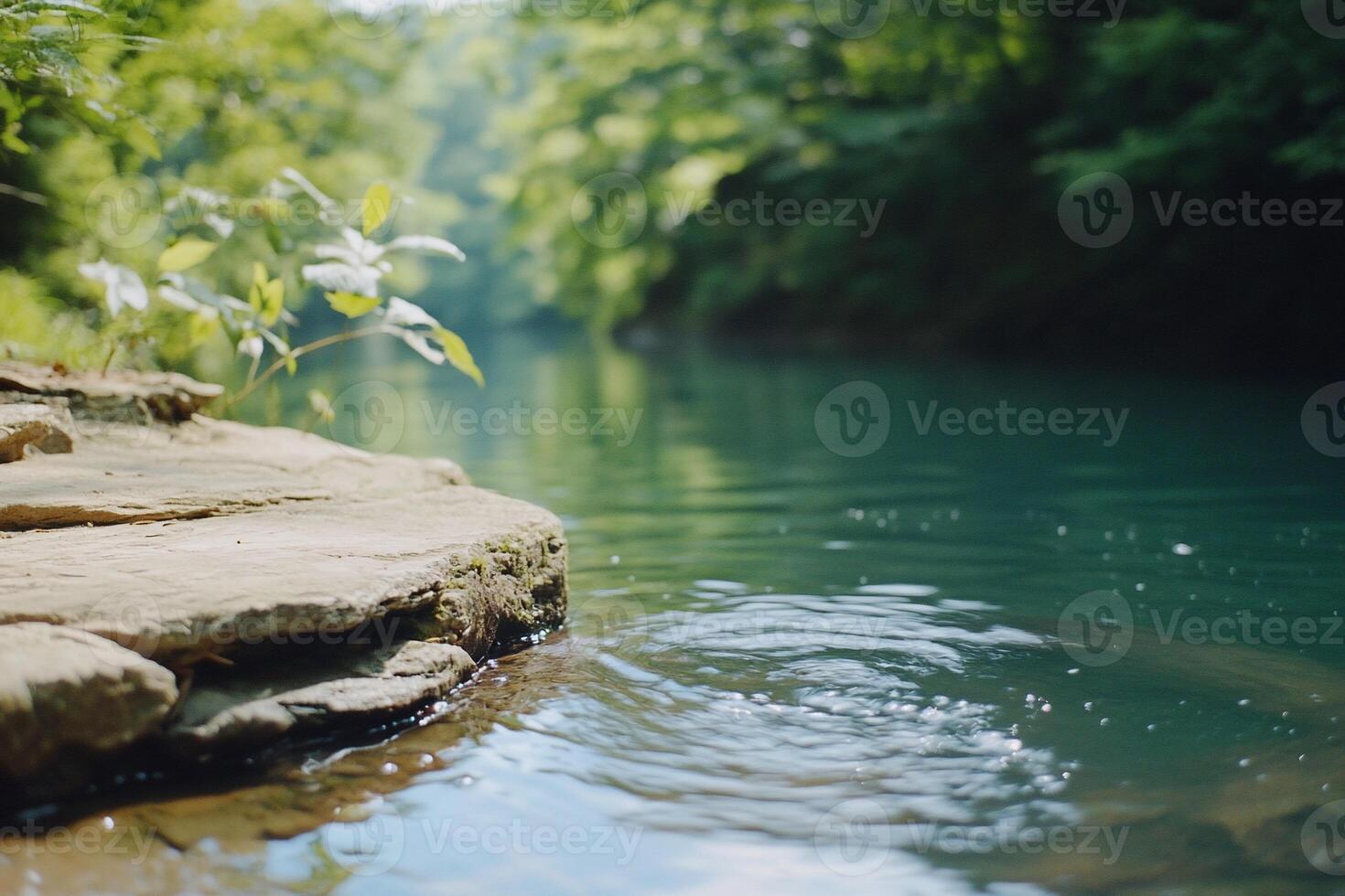 A serene river scene with lush greenery and calm water. photo