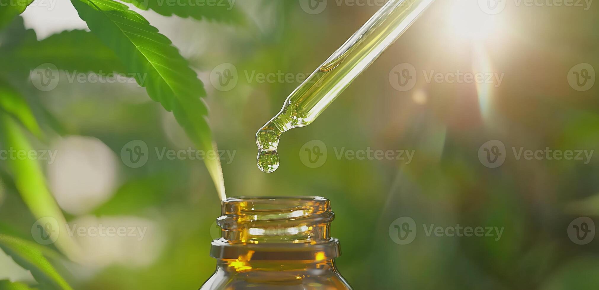 A bottle of cbd oil being poured into a plant photo