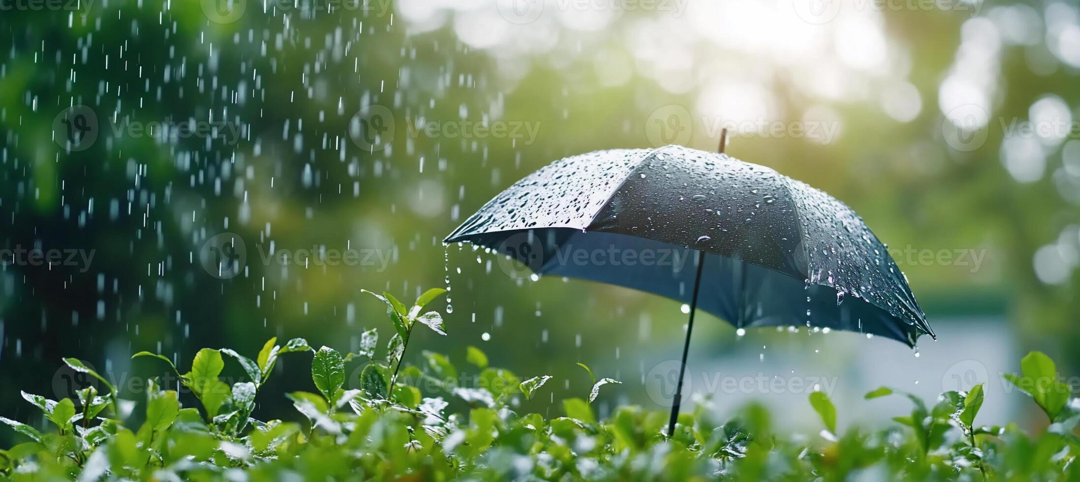 A black umbrella amidst rain falling on lush green plants. photo