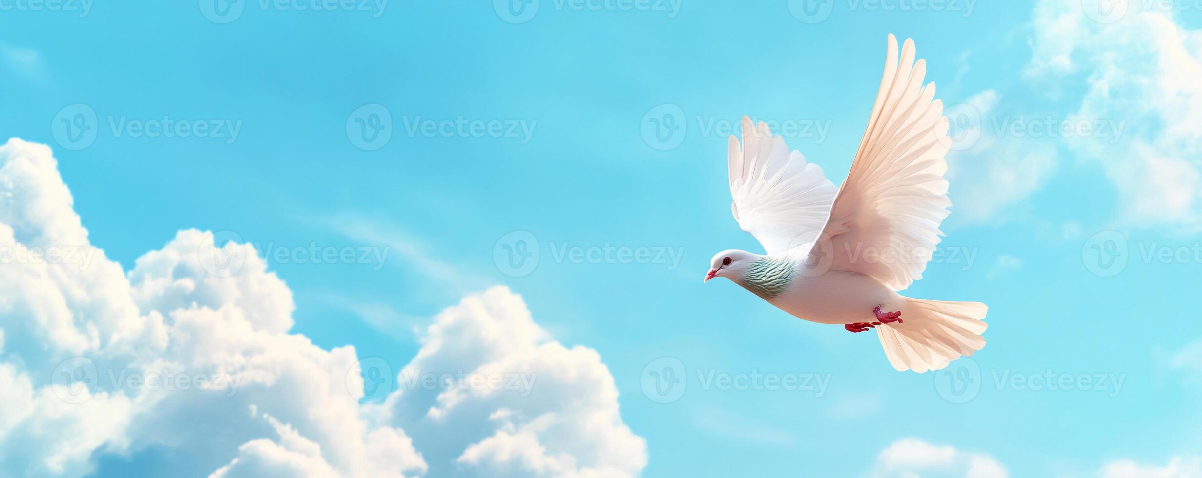 A white dove flying in the sky photo