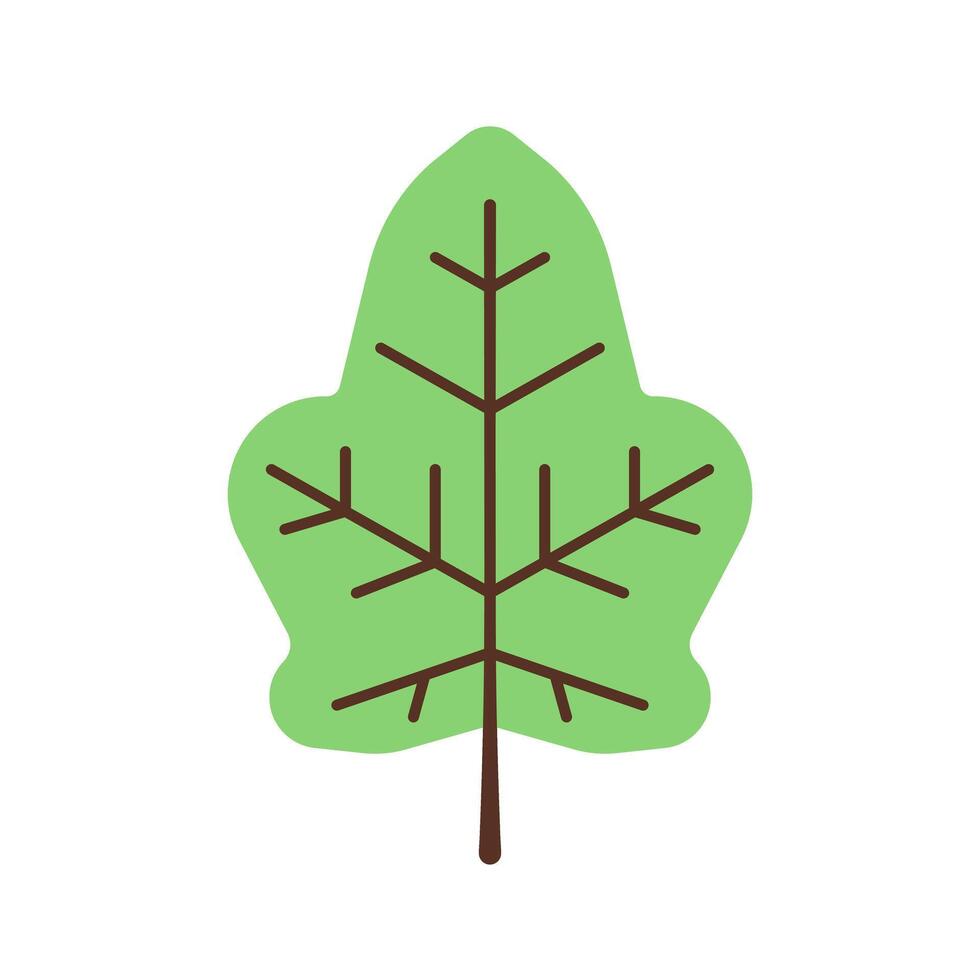 Summer leaf illustration in simple style. Flat leaf illustration for decoration. vector
