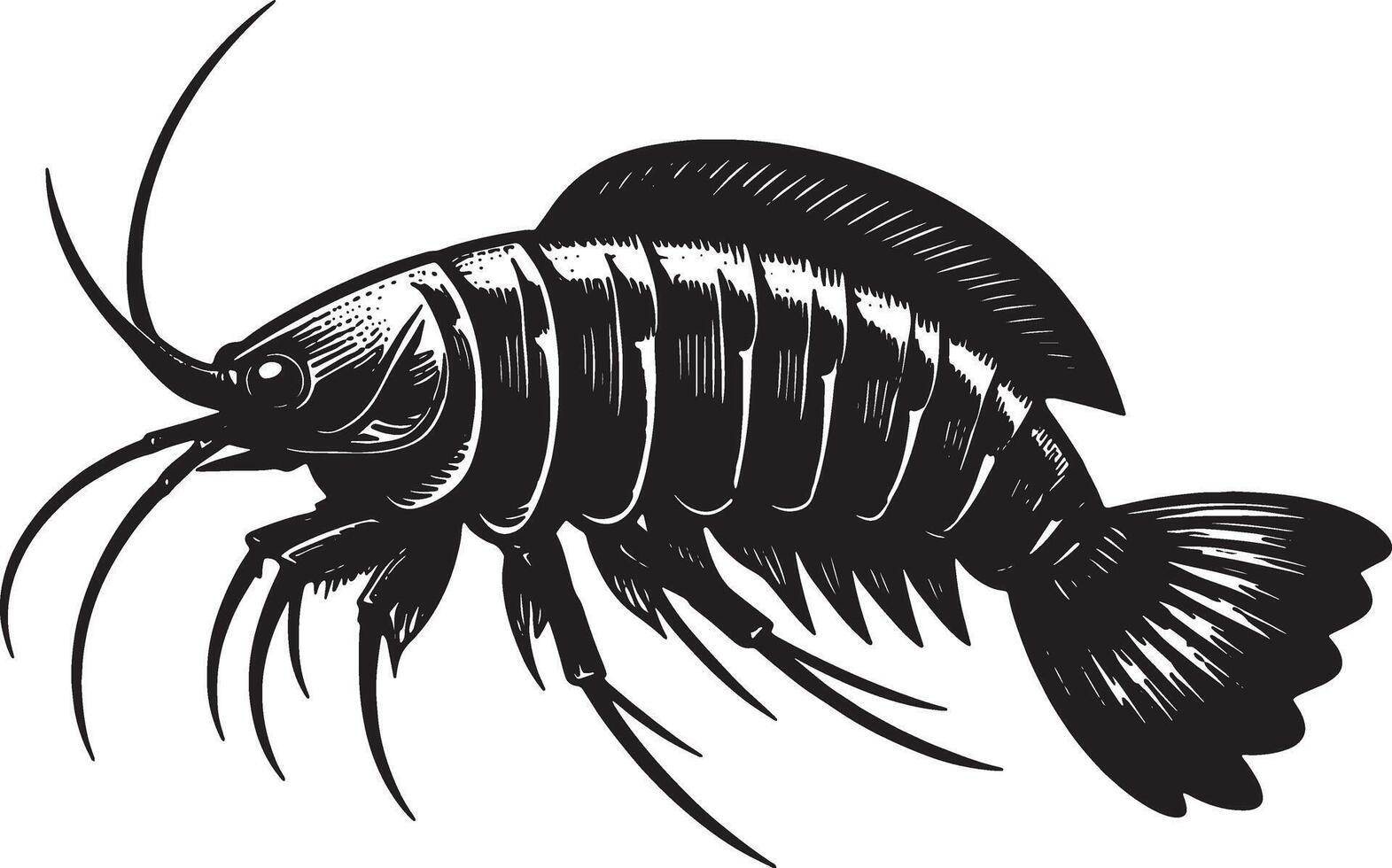 A black and white illustration of a fish vector