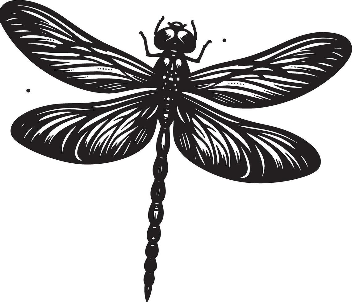 A black and white drawing of a dragonfly vector