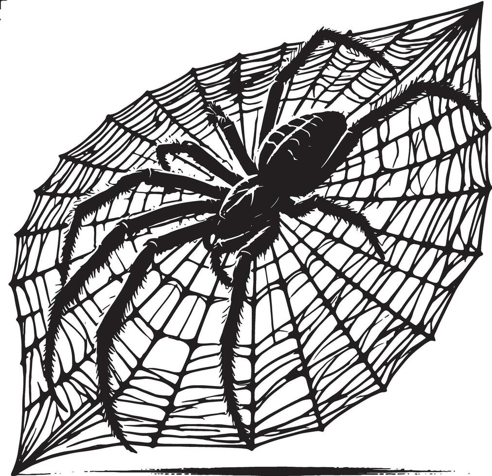 Spider Silhouette for Creative Projects vector