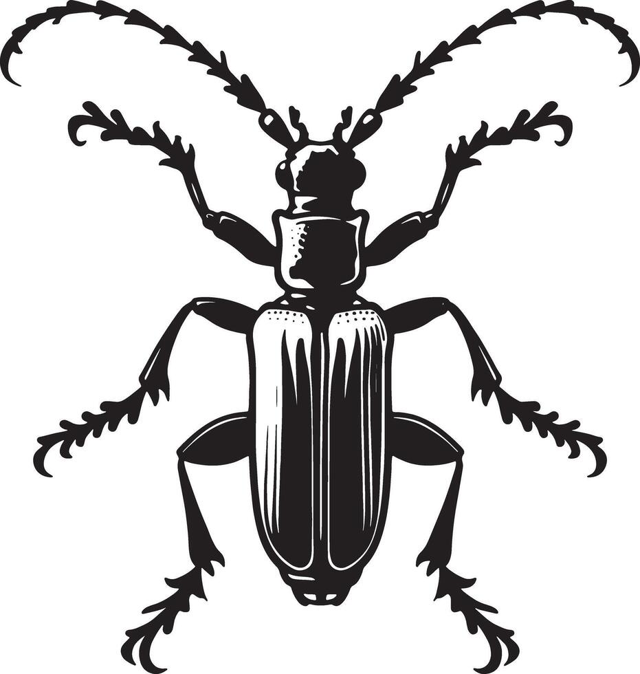 A black and white beetle on a white background vector