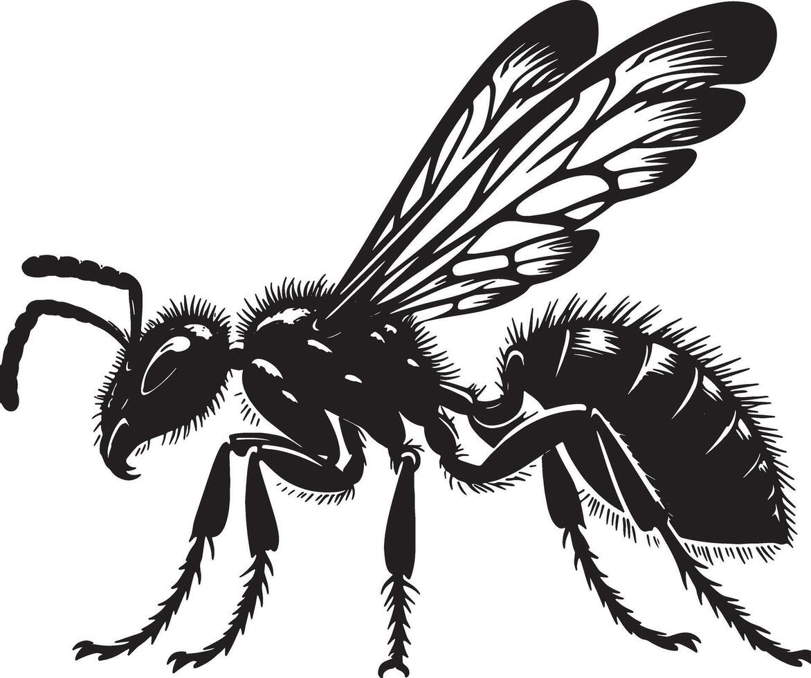 Wasp Contour Drawing Black and White Silhouette Design vector