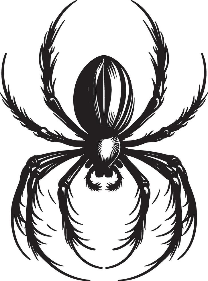 Black Spider Silhouette on White Background vector
