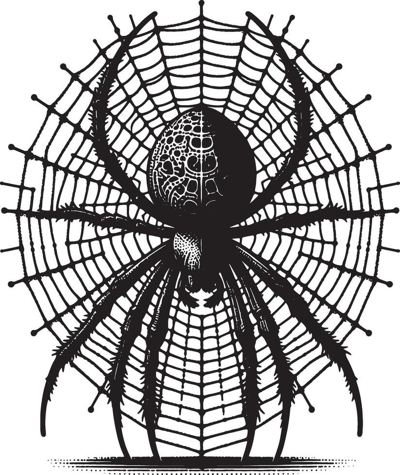 Black Spider Hanging from Silk Thread Silhouette vector