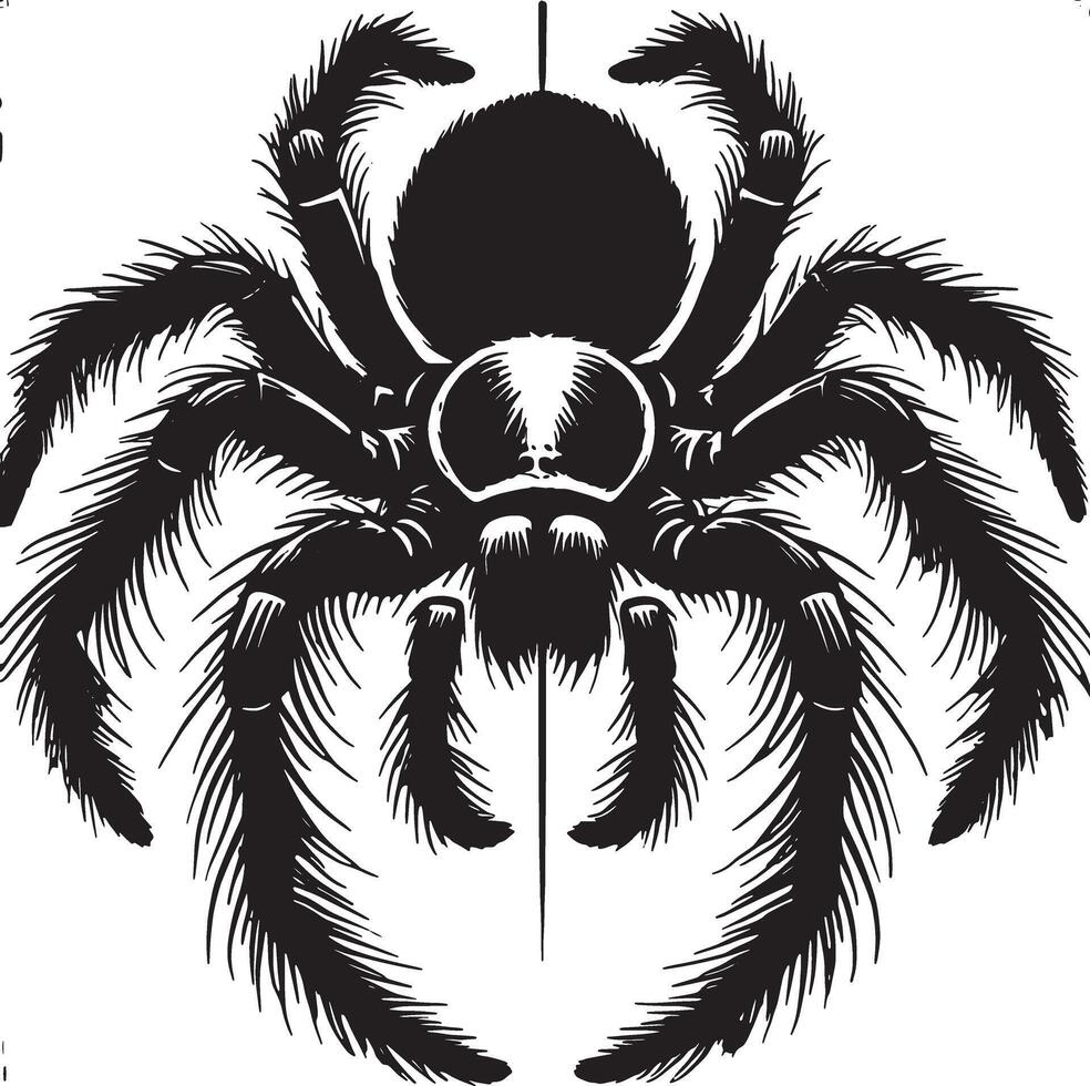 Dark Spider Silhouette for Horror Themed Projects vector