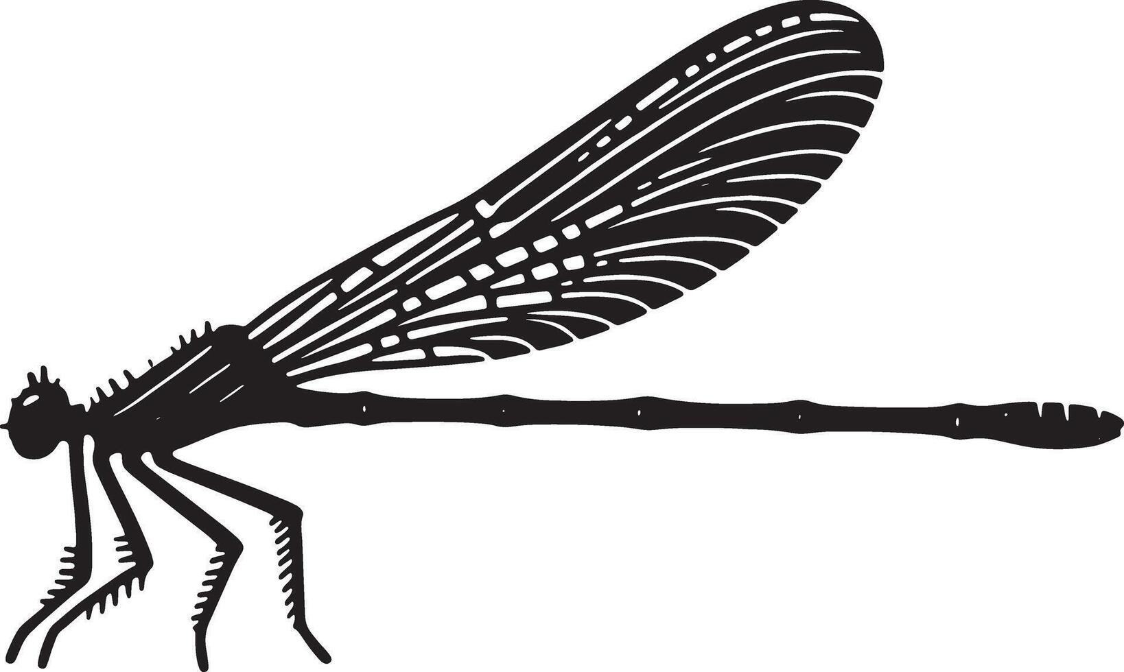 A black and white drawing of a dragonfly vector