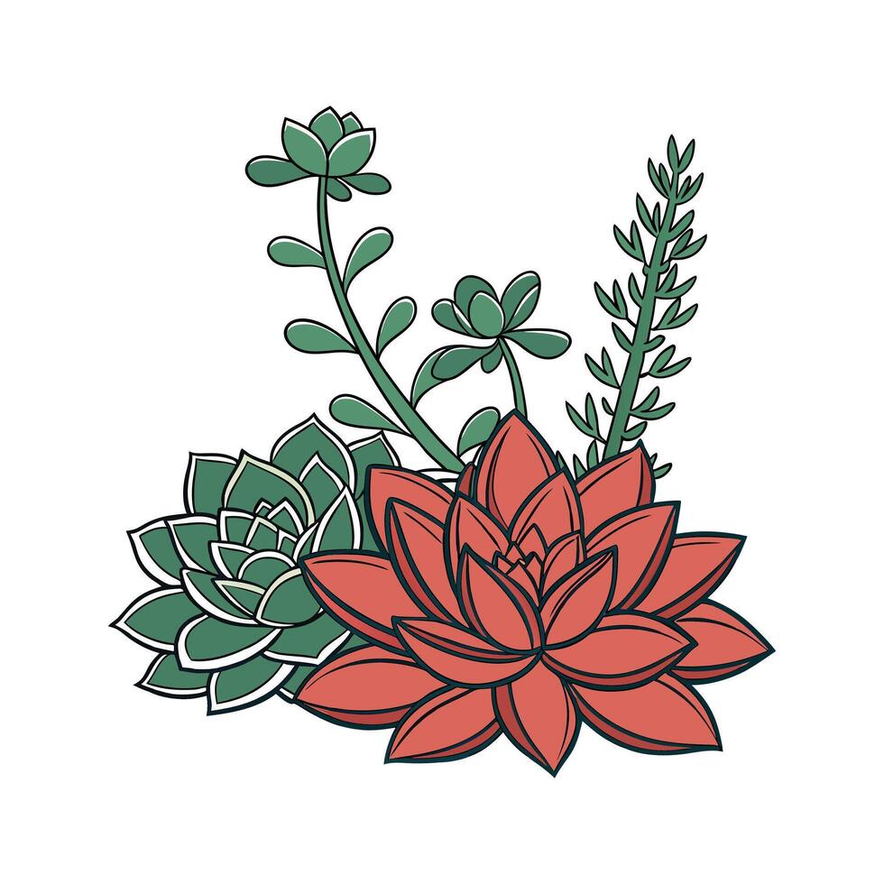 A succulents full image, solid color, with a white background vector