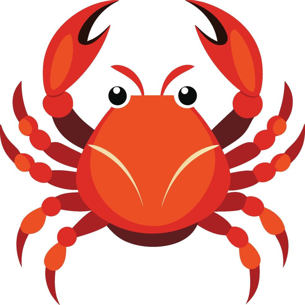 Cartoon crab, stylized illustration, bright red and orange colors, large claws, round body, symmetrical design vector