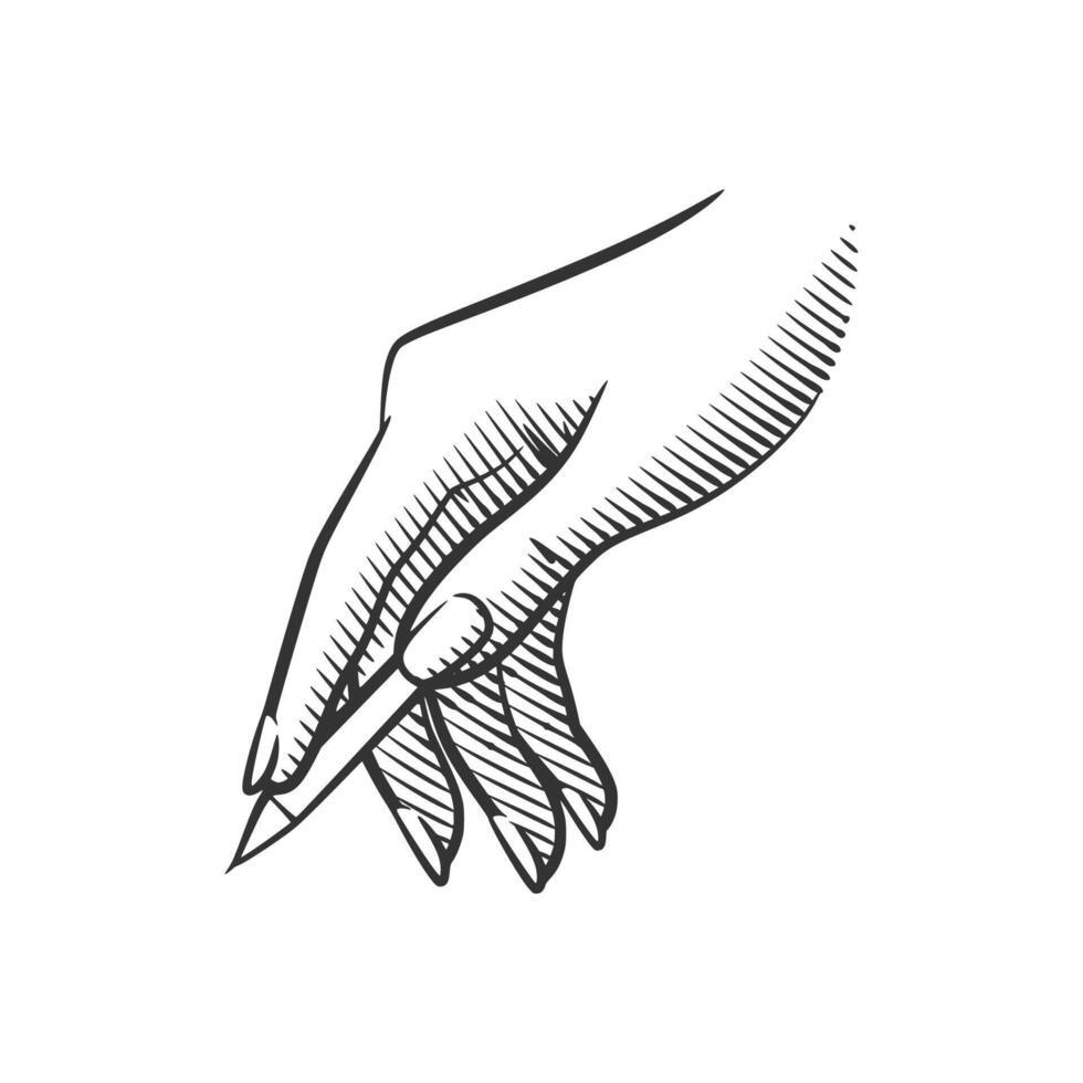 Line Art Hand with Pencil and Shading vector