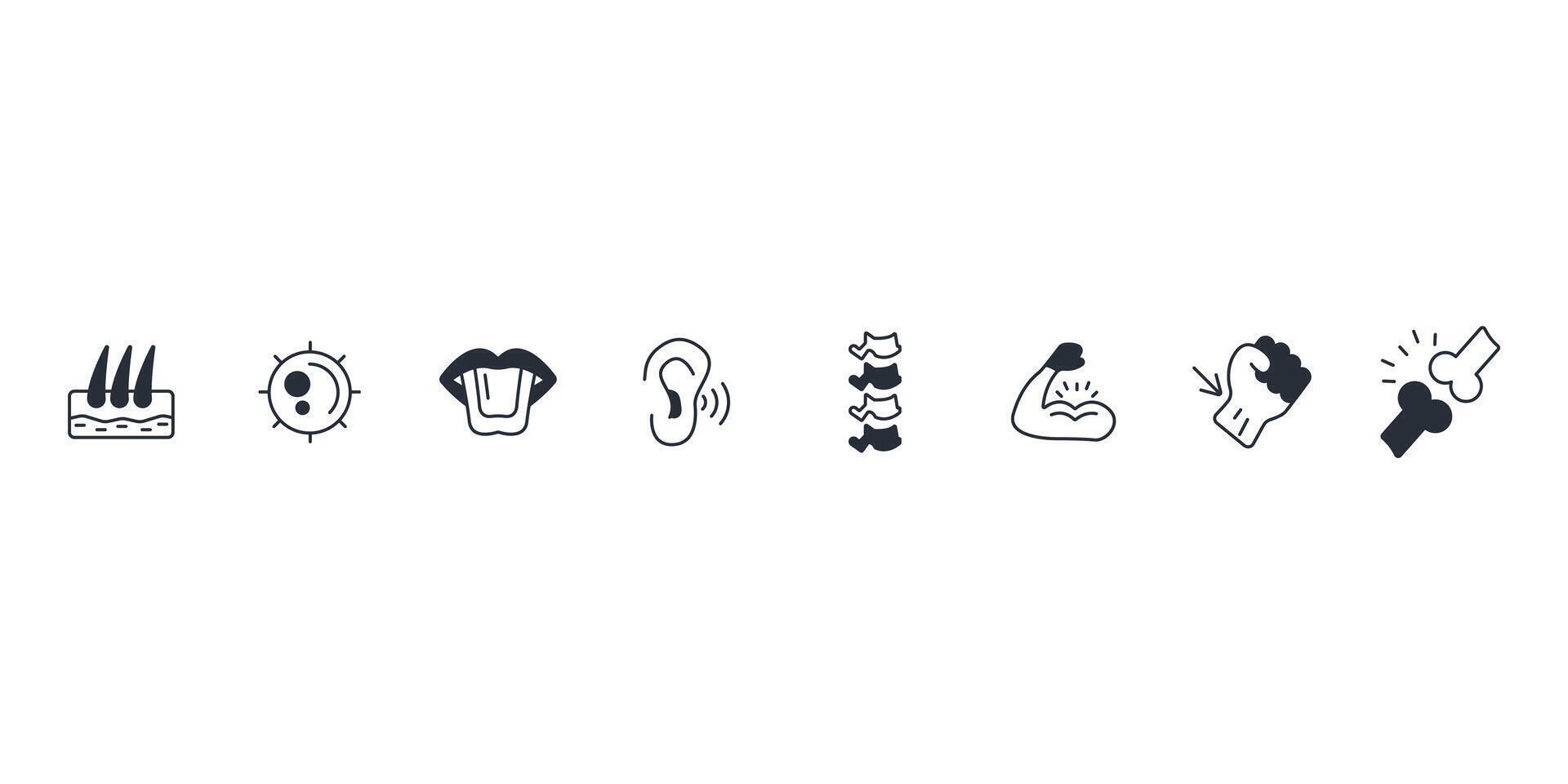 Anatomy icon set.Editable stroke.linear style sign for use web design,logo vector